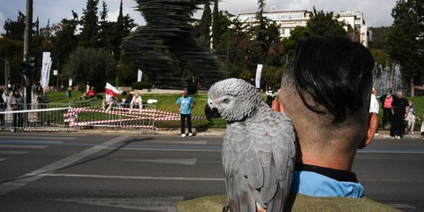 Μέχρι και τα πτηνά πήγαν στον 42ο Αυθεντικό Μαραθώνιο