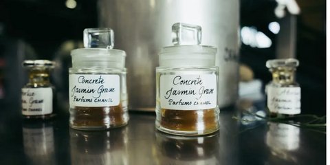 Τριαντάφυλλα και γιασεμιά, εξευγενισμένα για χρήση αποκλειστικά στη δημιουργία των πιο διάσημων αρωμάτων στον κόσμο - και κυρίως του θρυλικού Chanel No5 / CHANEL