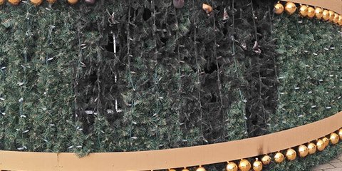 δεντρο χιος εμπρησμος