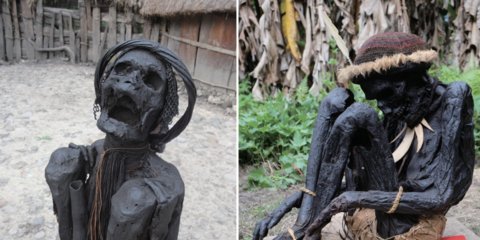 Παραδείγματα καπνισμένων μούμιων που φυλάσσονται σε ιδιωτικές κατοικίες στην Παπούα της Ινδονησίας,
