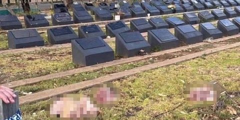 Πέταξαν κεφάλια χοίρων σε νεκροταφείο μουσουλμάνων