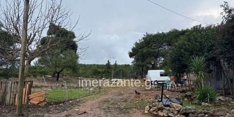 παιδί θάνατος σκύλος πίτμπουλ Ζάκυνθος