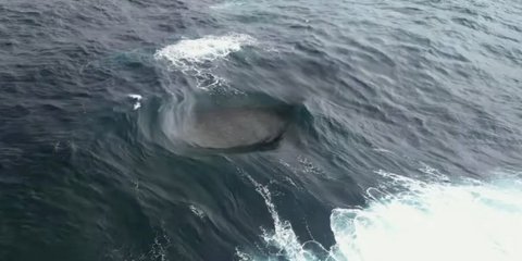 Από ψηλά, η εικόνα είναι ακόμη πιο παράξενη. Ένας σκοτεινός, σχεδόν μαύρος κύκλος στο νερό, περιβαλλόμενος από λευκό αφρό, σαν μάτι που ανοιγοκλείνει ή σαν στόμιο που καταπίνει και ξερνάει ενέργεια / YOUTUBE