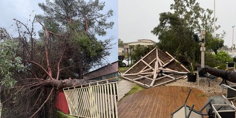 Οι ζημιές που προκάλεσε το πέρασμα του ανεμοστρόβιλου από το Μεσολόγγι