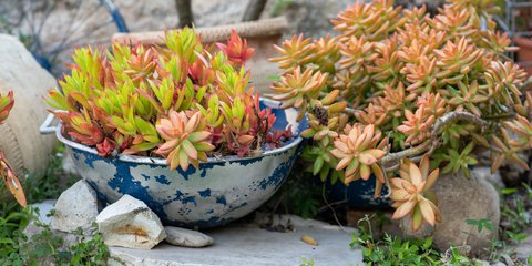 Φωτογραφία: shutterstock