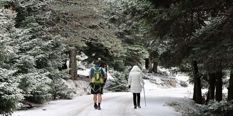 Βόλτα στην Πάρνηθα, έπεσαν τα πρώτα χιόνια του χειμώνα