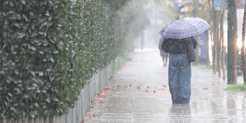 Red code weather alert 