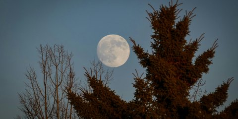 Το Φεγγάρι του Λύκου