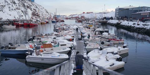 Γροιλανδία βαρκες