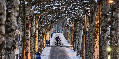 Βόλτα με ποδήλατο σε χιονισμένο σοκάκι στη Γερμανία