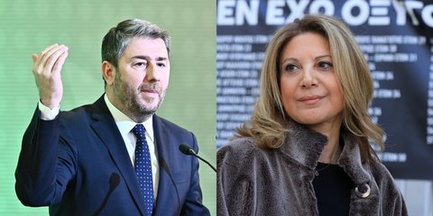 Νίκος Ανδρουλάκης, Μαρία Καρυστιανού