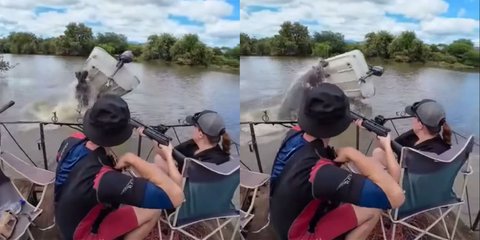 Η στιγμή της επίθεσης του ιπποπόταμου στο σκάφος