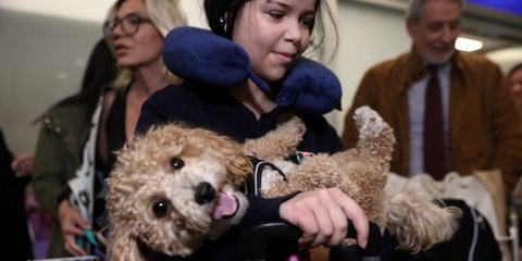  Operation ‘Ark’: Greece Evacuates 101 Citizens and 45 Pets from Dubai