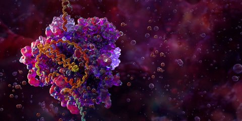 καρκίνος DNA