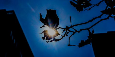 Με ήλιο ξεκινά η εβδομάδα