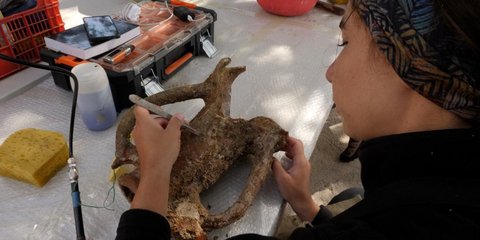 συντήρηση των ευρημάτων 