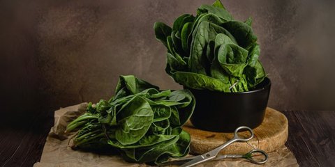 Φωτογραφία: Shutterstock