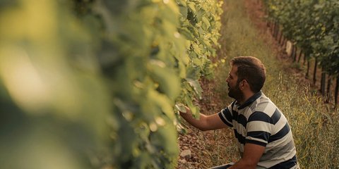 Costa Lazaridi Estates