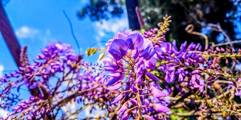 Πάσχα, ανοιξιάτικος καιρός – Φωτ: ΓΙΩΡΓΟΣ ΚΟΝΤΑΡΙΝΗΣ / EUROKINISSI