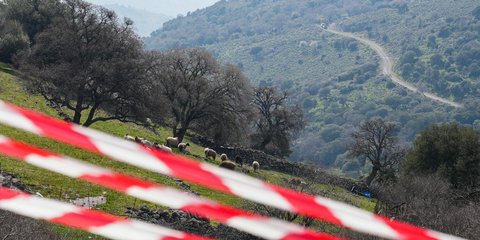 κορδελα προβατα