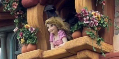 Τα κοράκια... ξεμάλλιασαν την Ραπουνζέλ σε πάρκο της Disney στο Τόκιο