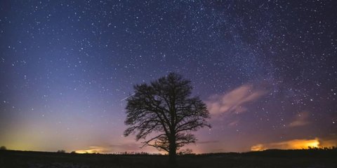 Φωτογραφία: Shutterstock