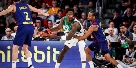 xeiz-nteibis-metagrafh