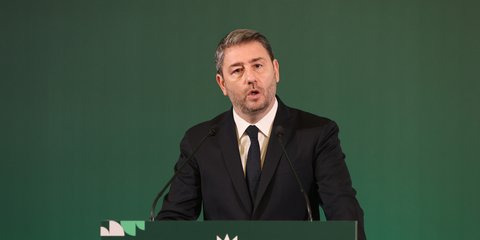 Ο Νίκος Ανδρουλάκης 