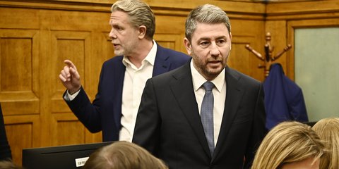 Παύλος Γερουλάνος, Νίκος Ανδρουλάκης