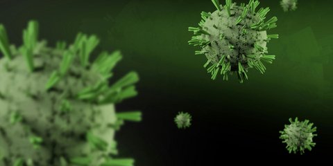 Hantavirus