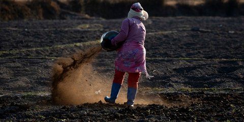 Αγρότισσα με οργανικό λίπασμα στο χωράφι της 