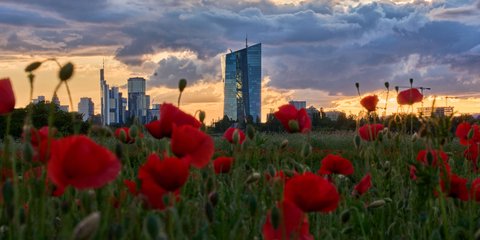 Παπαρούνες μπροστά από την Ευρωπαϊκή Κεντρική Τράπεζα