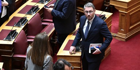 Ο Νίκος Ανδρουλάκης στην Ολομέλεια της Βουλής