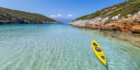 κιτρινο κανο