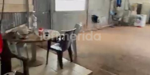 Χανιά: Πώς ζούσε η οικογένεια 