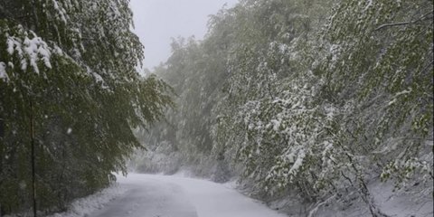 Χιόνια την Πρωτομαγιά σε όλη τη χώρα
