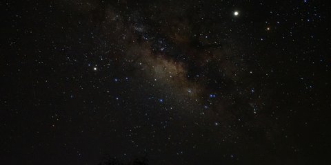 ζώδια