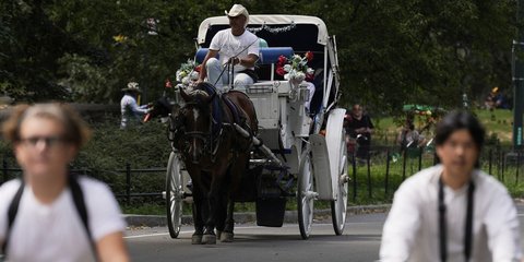 Βόλτα με άμαξα στο Central Park