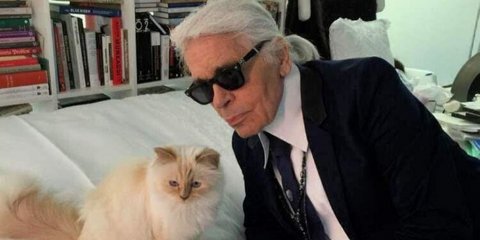 Ο Καρλ Λάγκερφελντ με τη γάτα του