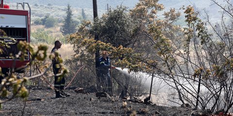 Πυρκαγιές από αμέλεια σημειώθηκαν σε αρκετές περιοχές της χώρας
