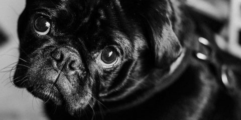 Φωτογραφία: unsplash/@priscilladupreez