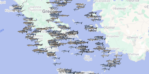 Xάρτης με τις θεάσεις καρχαριών στην Ελλάδα