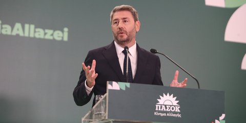 Ο πρόεδρος του ΠΑΣΟΚ, Νίκος Ανδρουλάκης