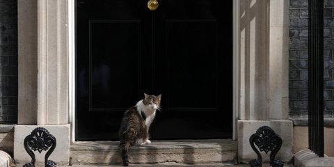 Ο Λάρι, η γάτα της Ντάουνινγκ Στριτ, περιμένει τον νέο ένοικο του Νο10
