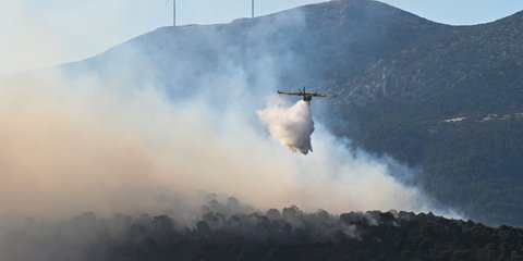 πυρκαγιά