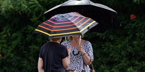 Rainfall on a summer day