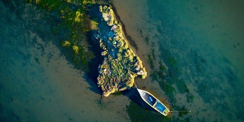Λιμνοθάλασσα Καλοχωρίου: Ο υδροβιότοπος 10 λεπτά από το κέντρο της Θεσσαλονίκης