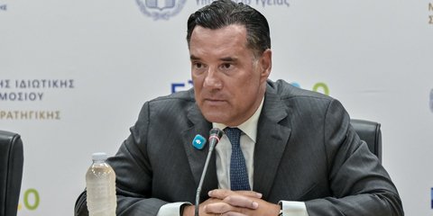 Γεωργιάδης για ιό του Δυτικού Νείλου: Ο κόσμος πρέπει να προσέχει, αλλά να μην καταλαμβάνεται από πανικό