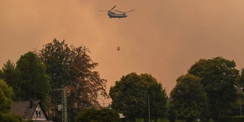Δασική πυρκαγιά στο Βέλγιο