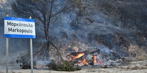 Κεφαλονιά: Προφυλακίστηκε ο 44χρονος που συνελήφθη για εμπρησμό - Μεταφέρεται στις φυλακές Αγίου Στεφάνου